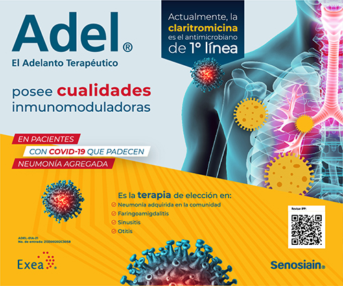 senosiain_adel02